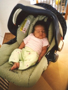 1_Mo_CarSeat_GreenPJ's.jpg (40864 bytes)