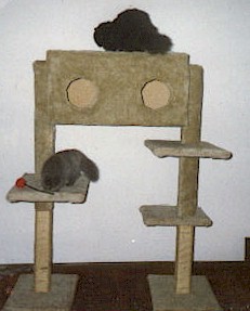 Cats on tree house